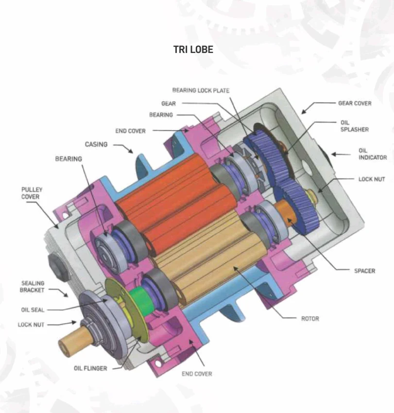 Tri lobe blower cutaway diagram